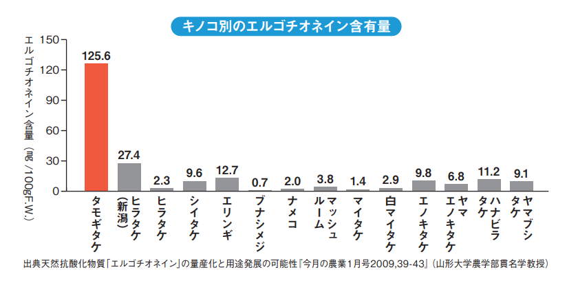 専門店機能性表示食品 『記憶の番人』 健康用品